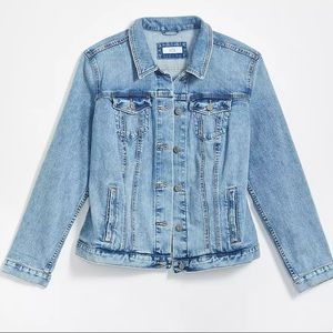 Loft Plus Jean Jacket